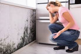 Mold Remediation for Vacation Homes in Charles Town, WV